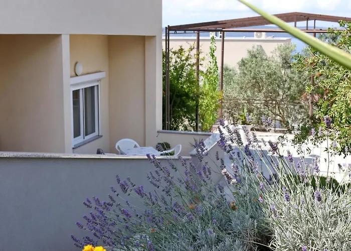 Apartamento Vanda Land Zadar