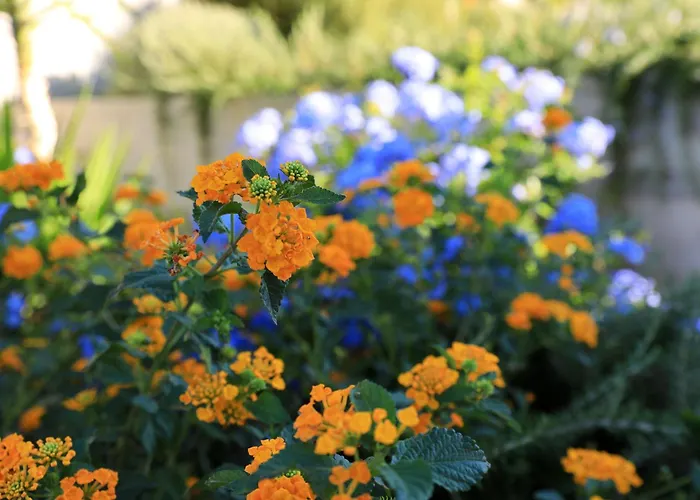 Vanda Land דירה *